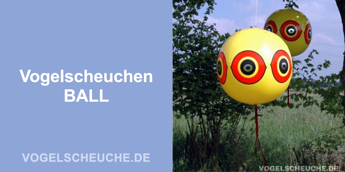 Vogelscheuchen BALL — Banner