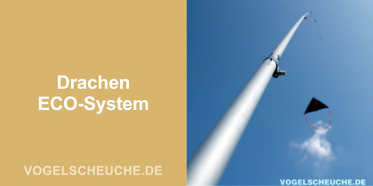 Vogelscheuchen Drachen ECO-System — Banner