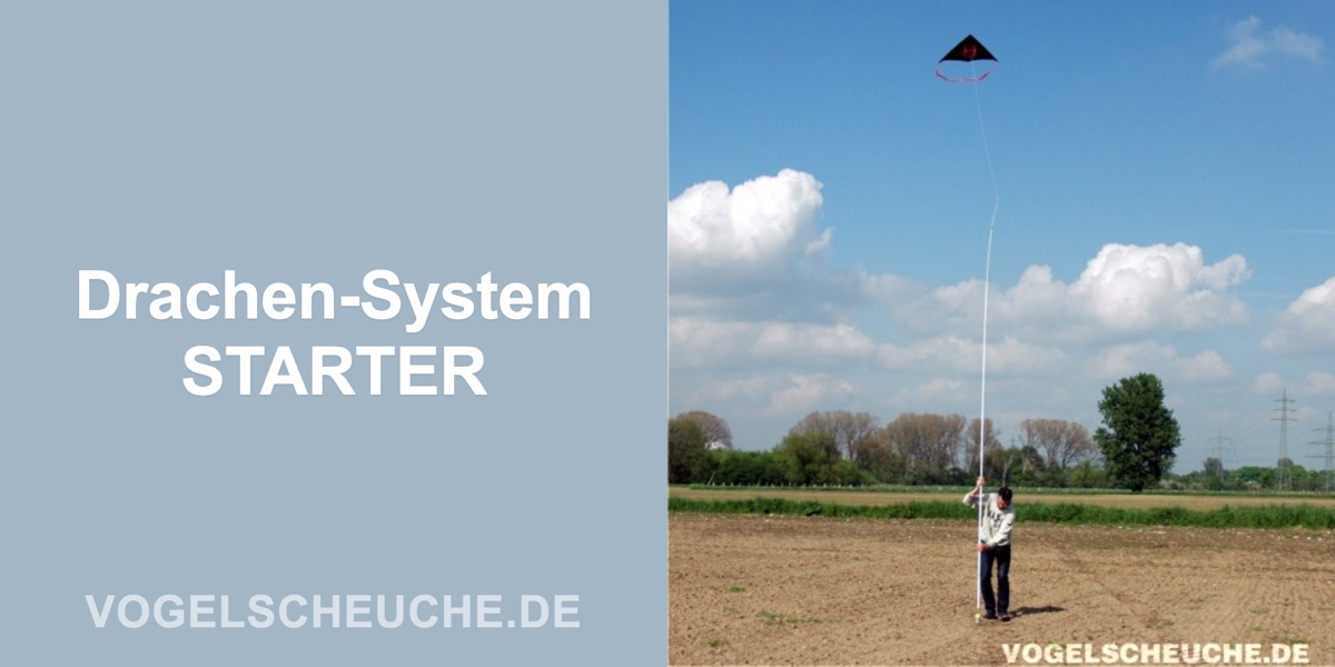Vogelscheuchen Drachen-System STARTER — Banner