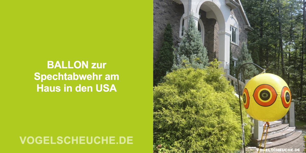 BALLON zur Spechtabwehr am Haus in den USA