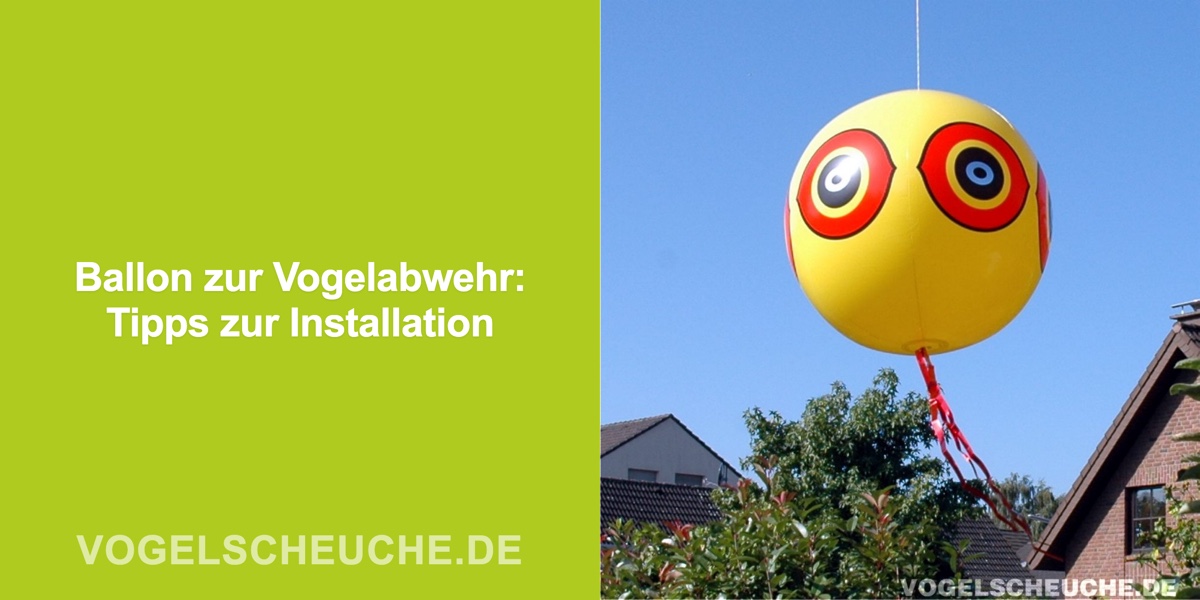 Ballon zur Vogelabwehr: Installation