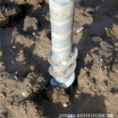 Nahaufnahme des Schraubgewindes im sandigen Boden