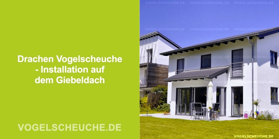 Drachen Vogelscheuche - Installation auf dem Giebeldach