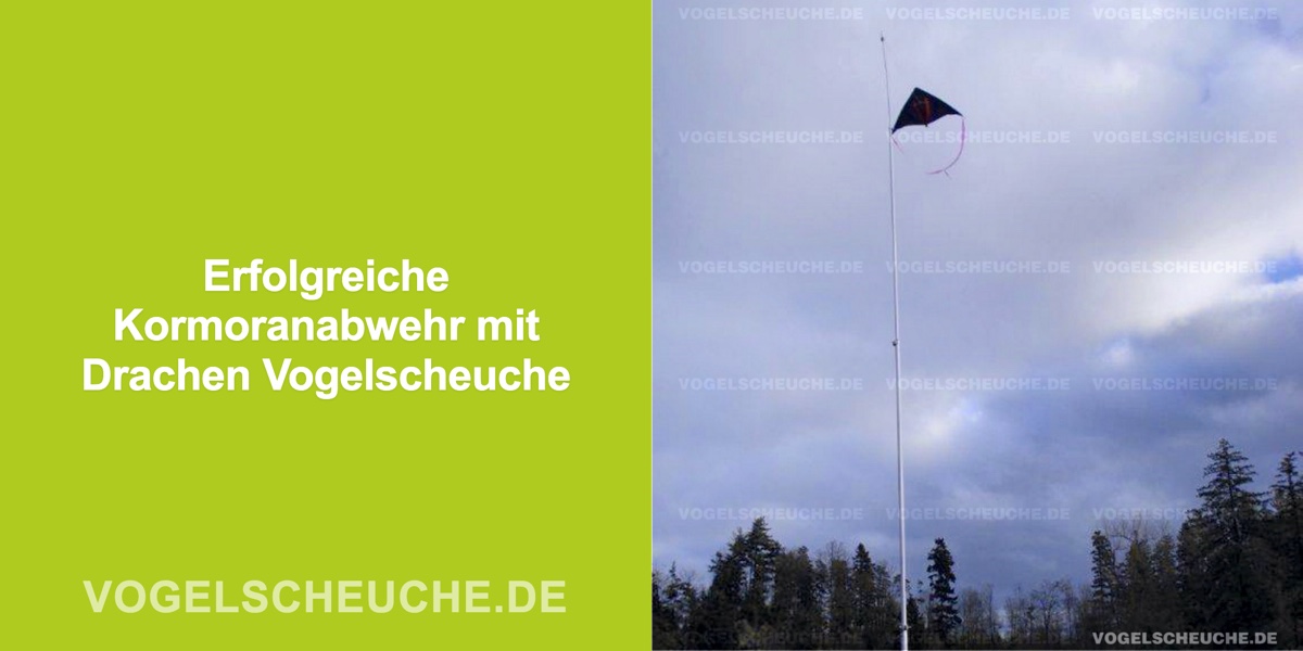 Erfolgreiche Kormoranabwehr mit Drachen Vogelscheuche