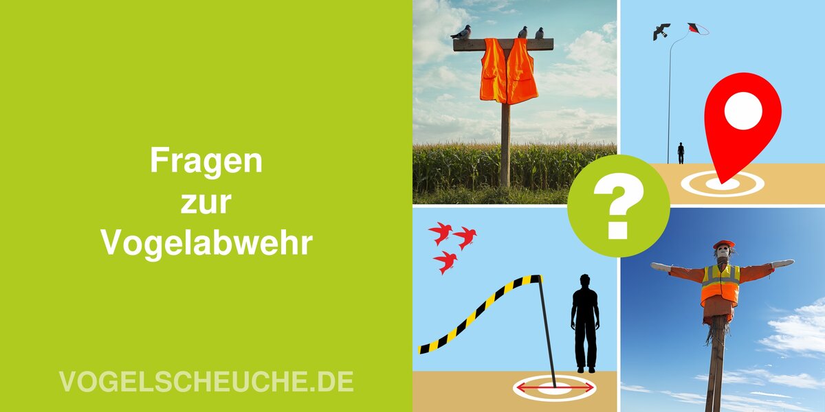 Fragen zur Vogelabwehr