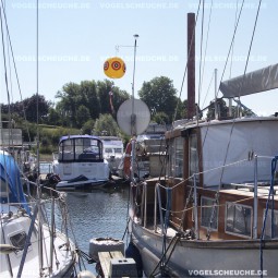 Möwenabwehr mit Ballon in Sport und Segelboot Marina