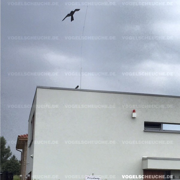 Vogelscheuchen Drachen System-Einsatz auf dem Flachdach