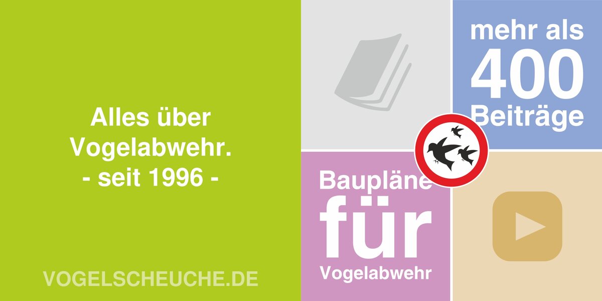 Das Magazin von vogelscheuche.de