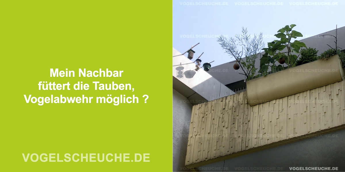 Mein Nachbar füttert die Tauben, Vogelabwehr möglich ?