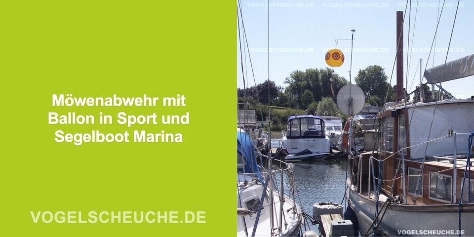 Möwenabwehr mit Ballon in Sport und Segelboot Marina