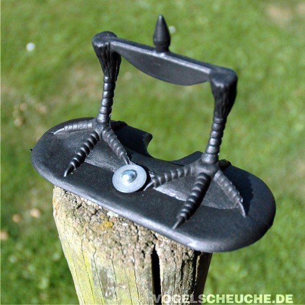 Raben aufsetzen