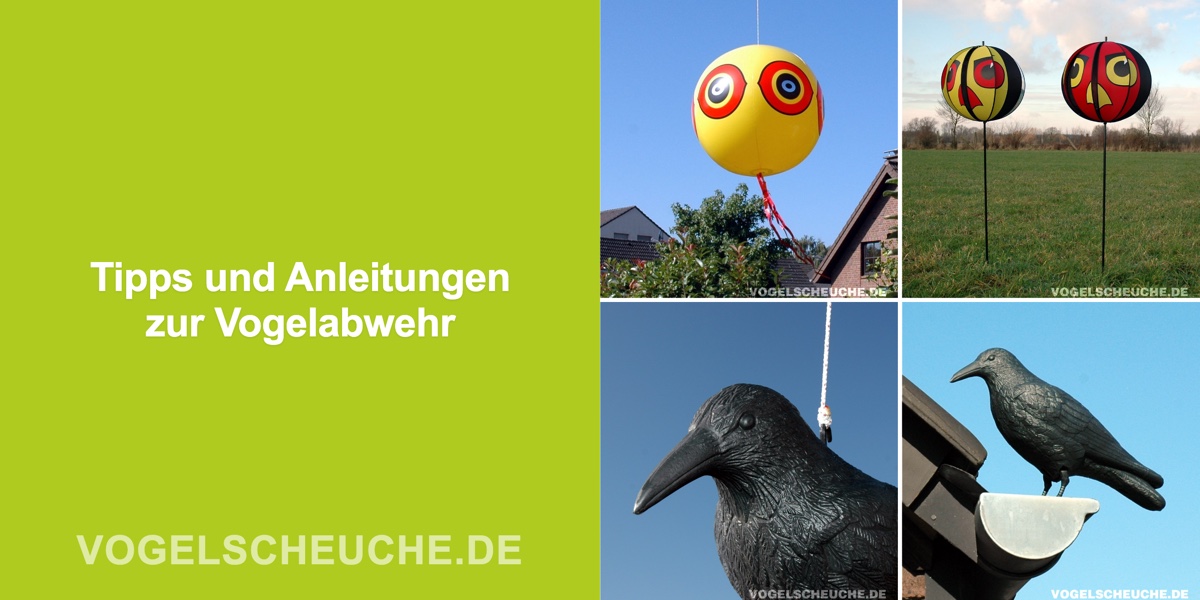Tipps und Anleitungen zur Vogelabwehr