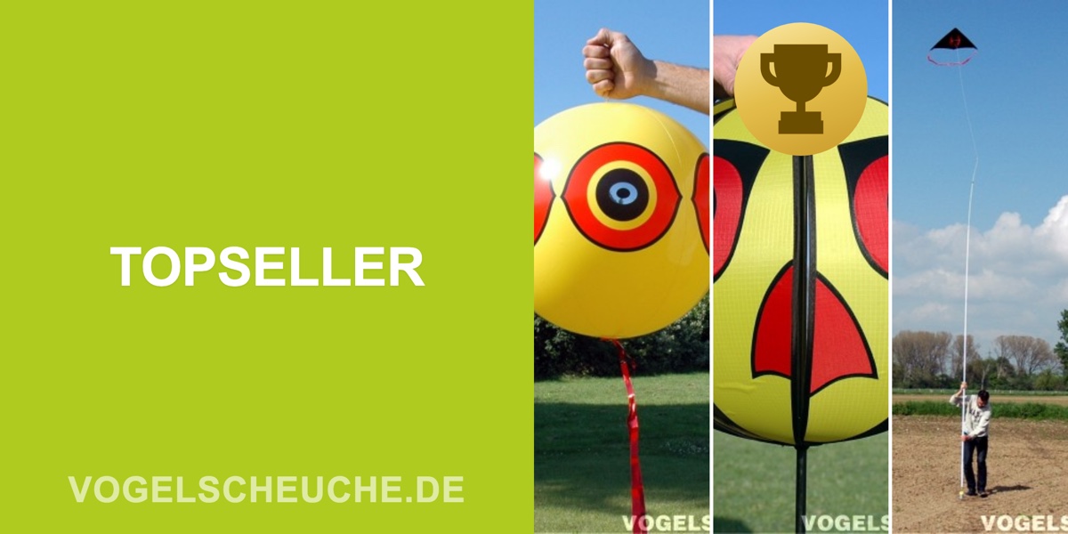 Topseller: die meistverkauften Produkte