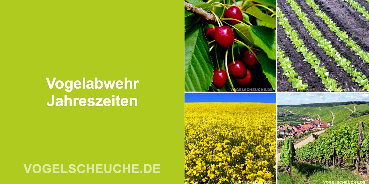 Vogelabwehr Jahreszeiten