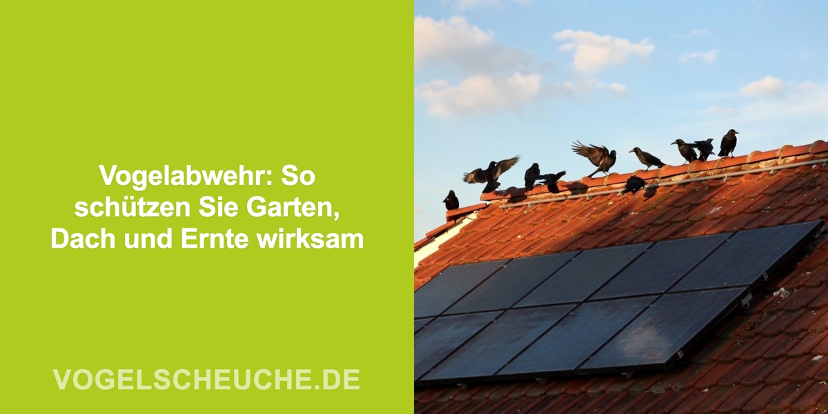 Vogelabwehr Übersicht
