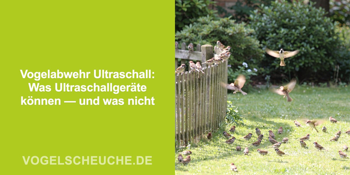 Vogelabwehr Ultraschall: Was Ultraschallgeräte können — und was nicht