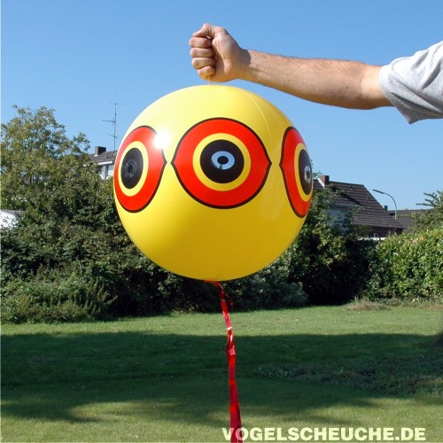 Eine Hand hält den rund 40 cm großen, aufgeblasenen Vogelscheuch-Ballon zum Größenvergleich.