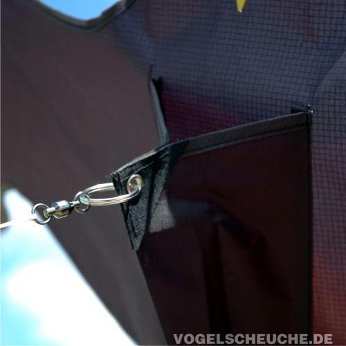 Nahaufnahme von Zuegel und Karabiner an der Flugleine