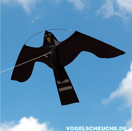 Der Falkendrachen fliegt vor blauem Himmel, Gesamtansicht