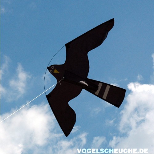 Der Falkendrachen fliegt im landwirtschaftlichen Einsatz vor Himmel