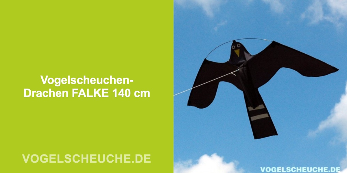 Vogelscheuchen-Drachen FALKE 140 cm — Banner