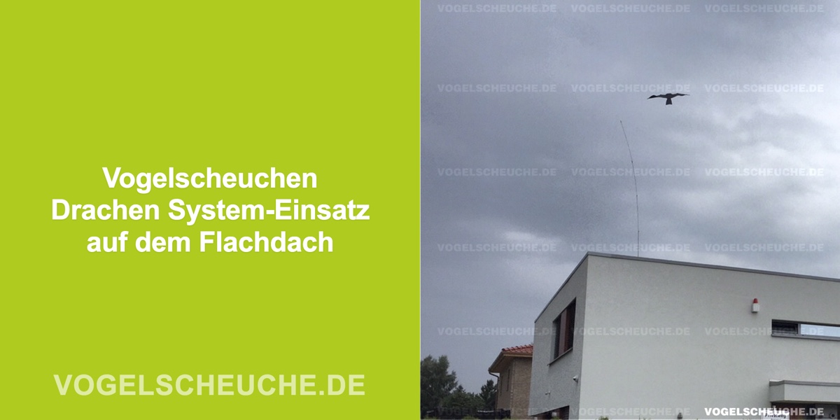 Vogelscheuchen Drachen System-Einsatz auf dem Flachdach