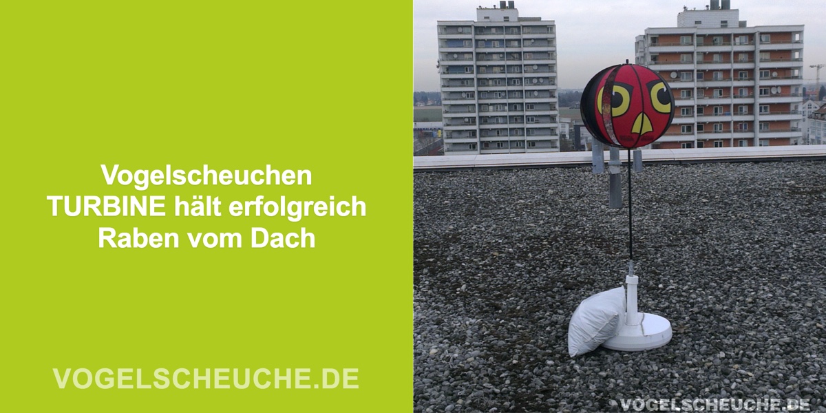 Vogelscheuchen TURBINE hält erfolgreich Raben vom Dach