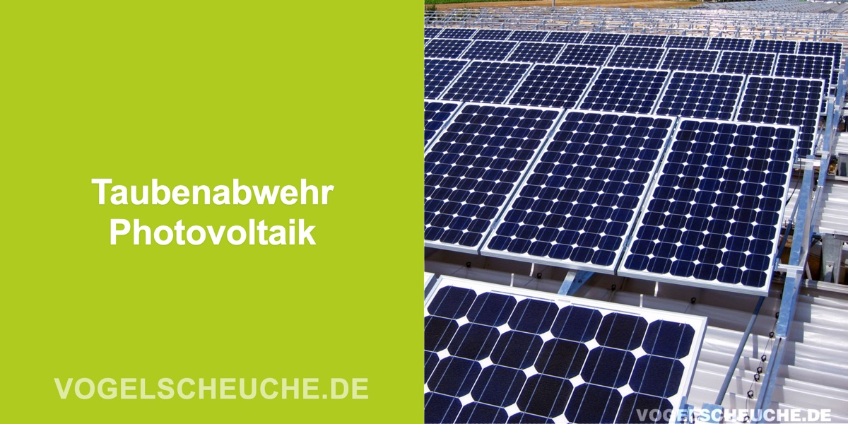 Taubenabwehr an Photovoltaikanlagen