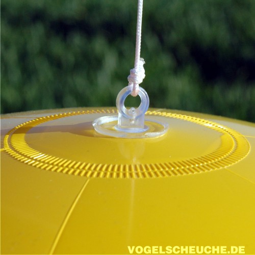 Detailansicht der Kunststoff-Öse am oberen Pol des Ballons, an der die beiliegende Schnur zum hängenden Anbringen befestigt wird.