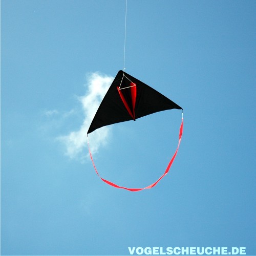 Der Delta-Vogelscheuchdrachen aus Spinnakernylon mit rotem Ringschwanz, hängend vor blauem Himmel.