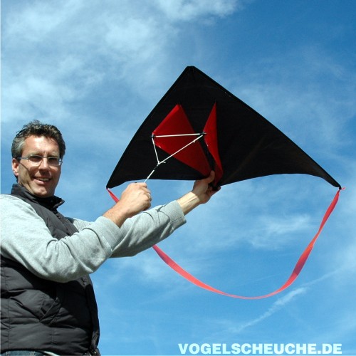Ein Mann hält den schwarz-roten Delta-Vogelscheuchdrachen des ECO-Systems zum Start gegen den blauen Himmel.