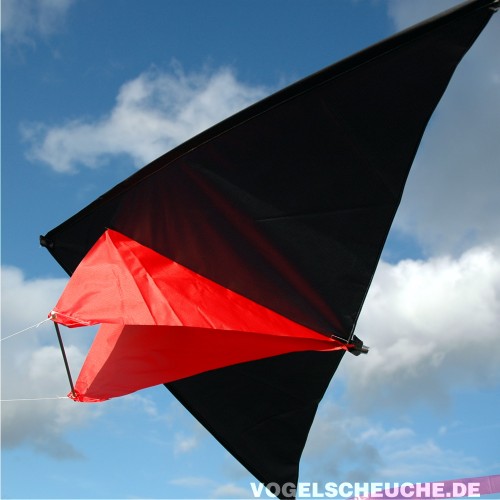 Der aus Spinnakernylon gefertigte Delta-Drachen im Flug, der Silhouette eines Greifvogels nachempfunden.